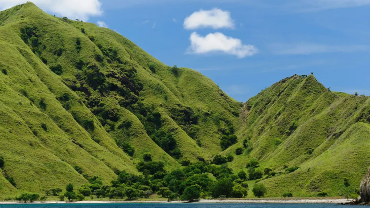 Amazing Destination on Komodo Island Tours from Cruise Ship