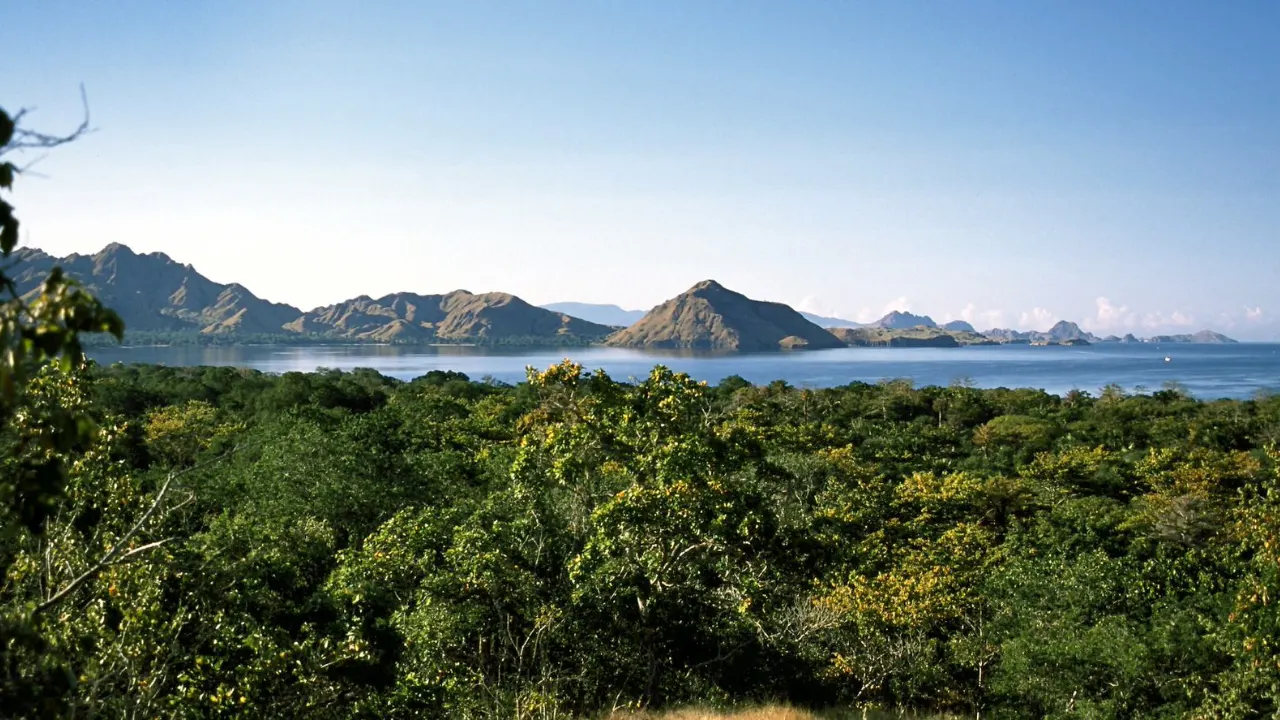 Komodo-Tour-From-Bali-2-Days-1-Night-By-Indonesia-Flores-Tour-Img4