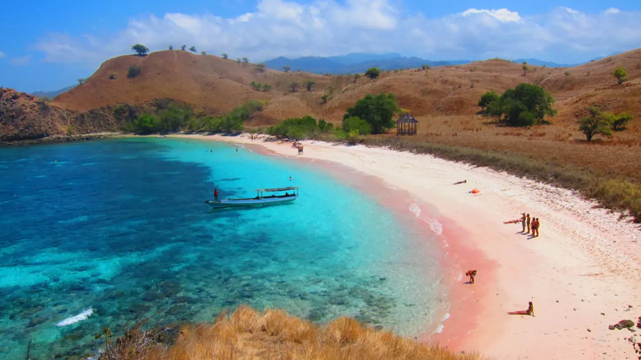 Komodo-Tour-From-Flores-3-Days-2-Night-By-Indonesia-Flores-Tour-Img7